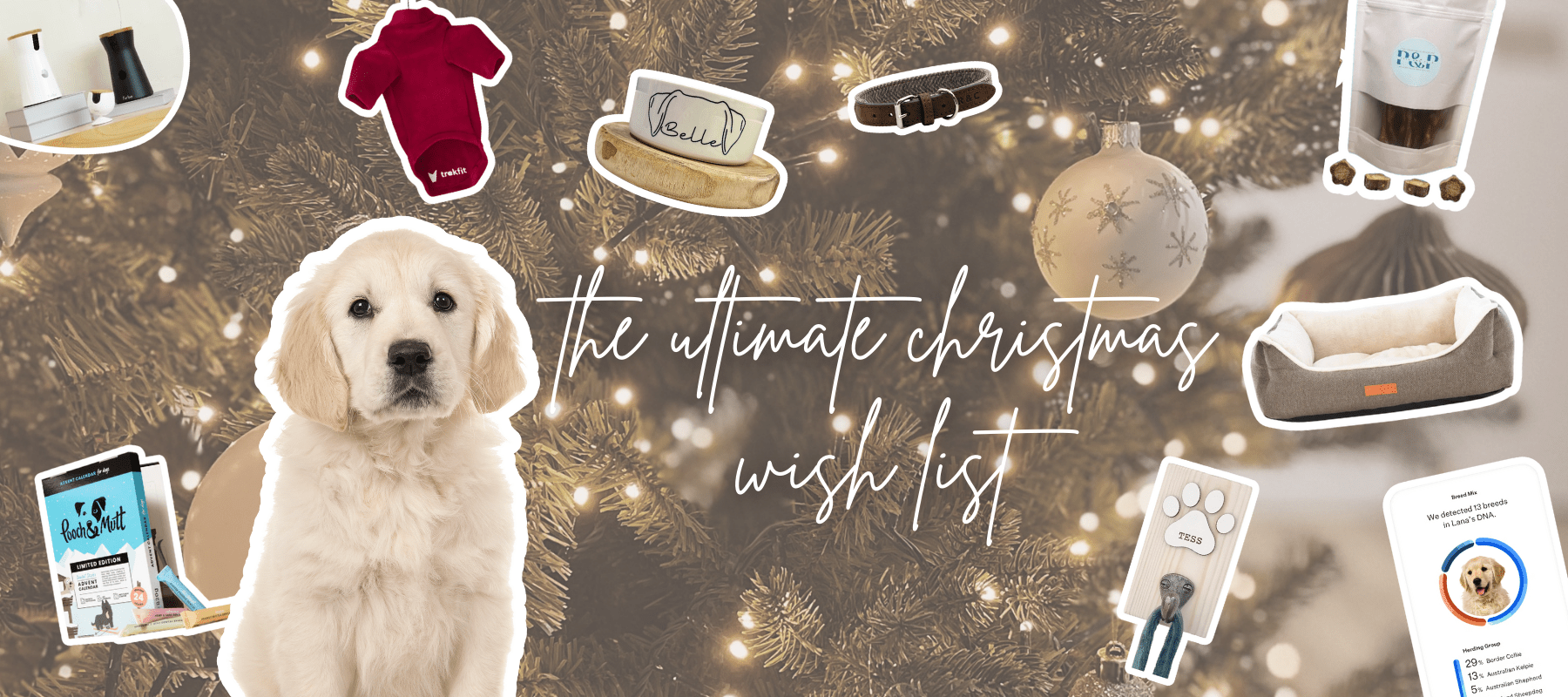 13 Gifts for Dogs at Christmas - The Ultimate Christmas Gift Guide - Ralph & Co