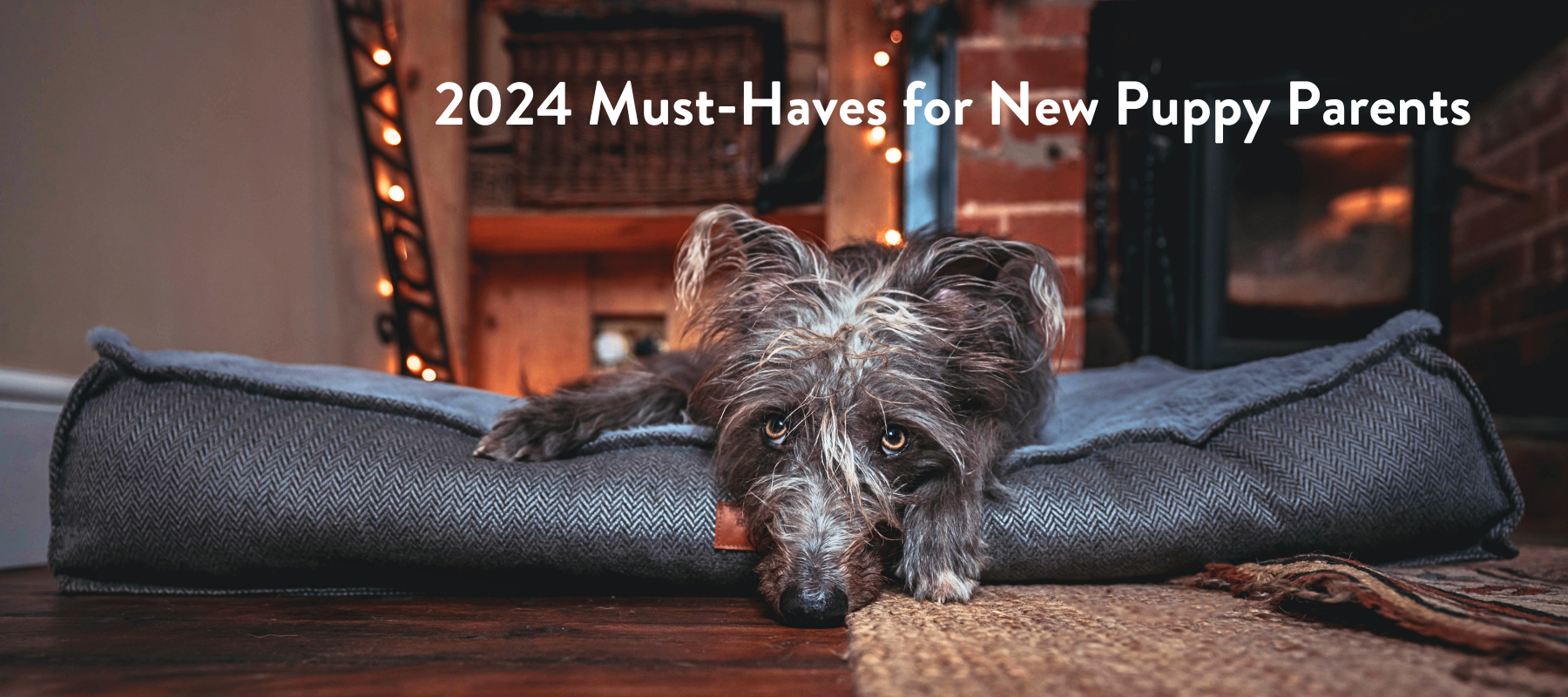 Must-Haves for New Puppy Parents in 2024