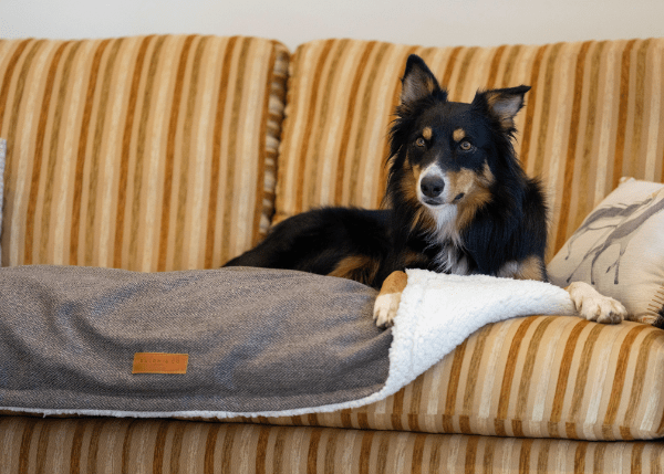 Dog Blankets Luxury Fabric Machine Washable 1 Year Warranty