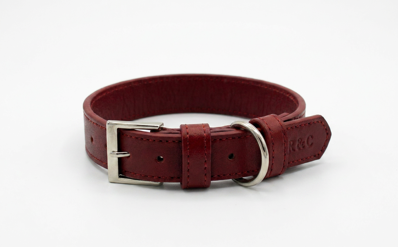 Red leather dog collar with silver buckle on a white background