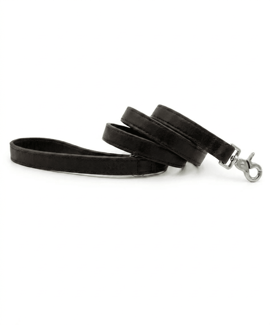 Black Leather Dog Lead - Ralph & Co