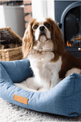 Load image into Gallery viewer, Chenille Nest Dog Bed | Rayleigh - Ralph & Co