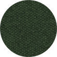 Load image into Gallery viewer, Luxury Washable Green Dog Blanket | Richmond - Ralph & Co