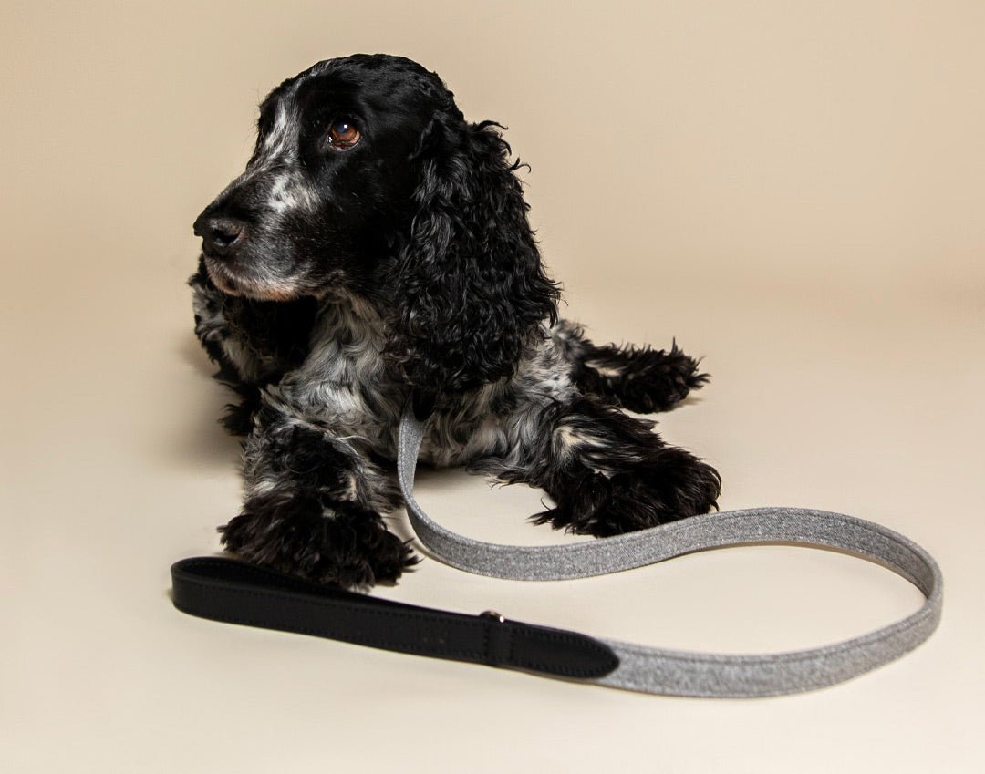 Fabric & Leather Collar - Eton - Ralph & Co