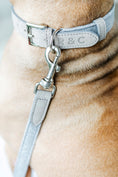 Load image into Gallery viewer, Fabric & Leather Lead - Dalton - Ralph & Co