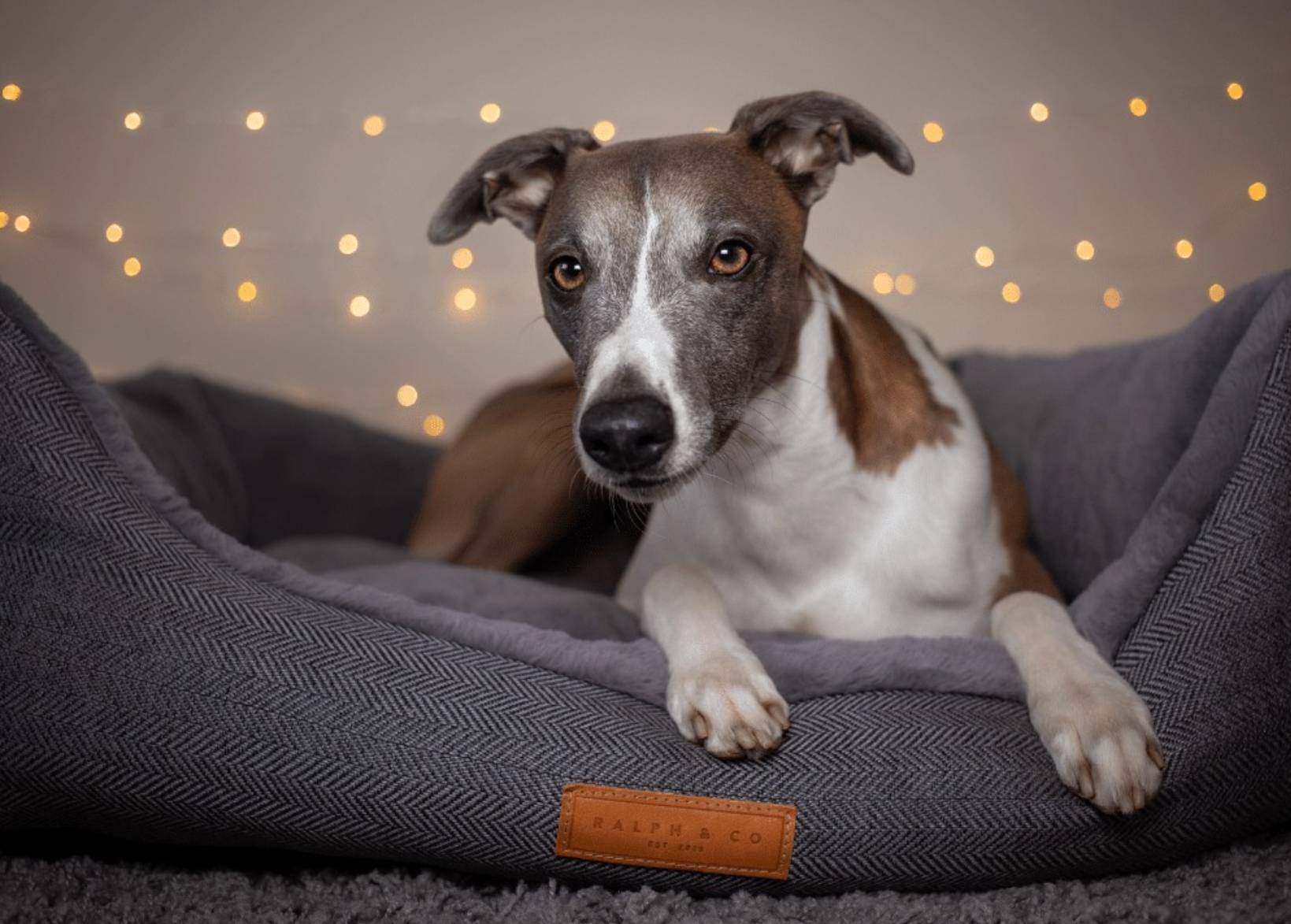 Herringbone Grey Dog Bed | Balmoral - Ralph & Co