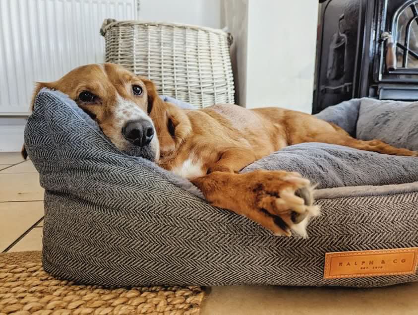 Herringbone Grey Dog Bed | Balmoral - Ralph & Co