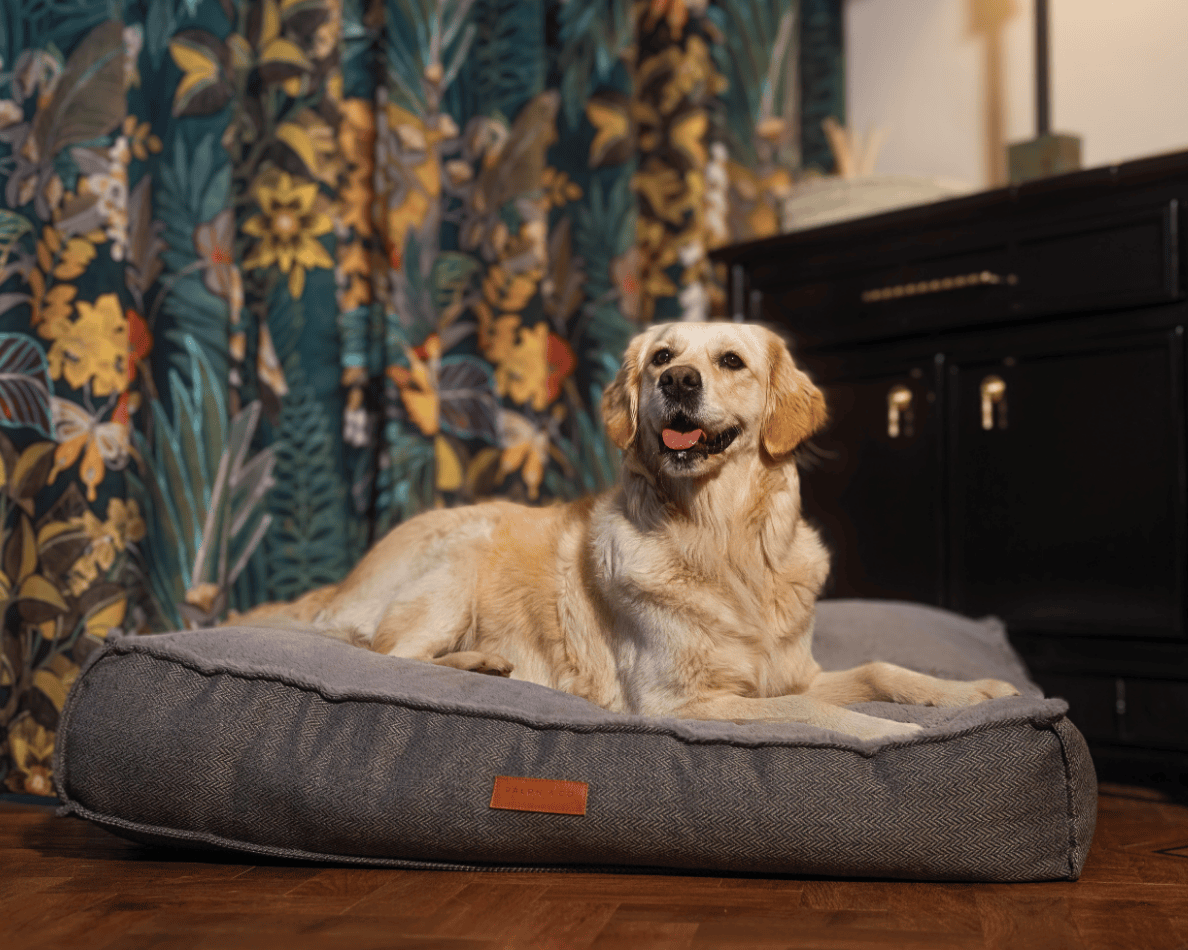 Herringbone Pillow Dog Bed | Balmoral - Ralph & Co