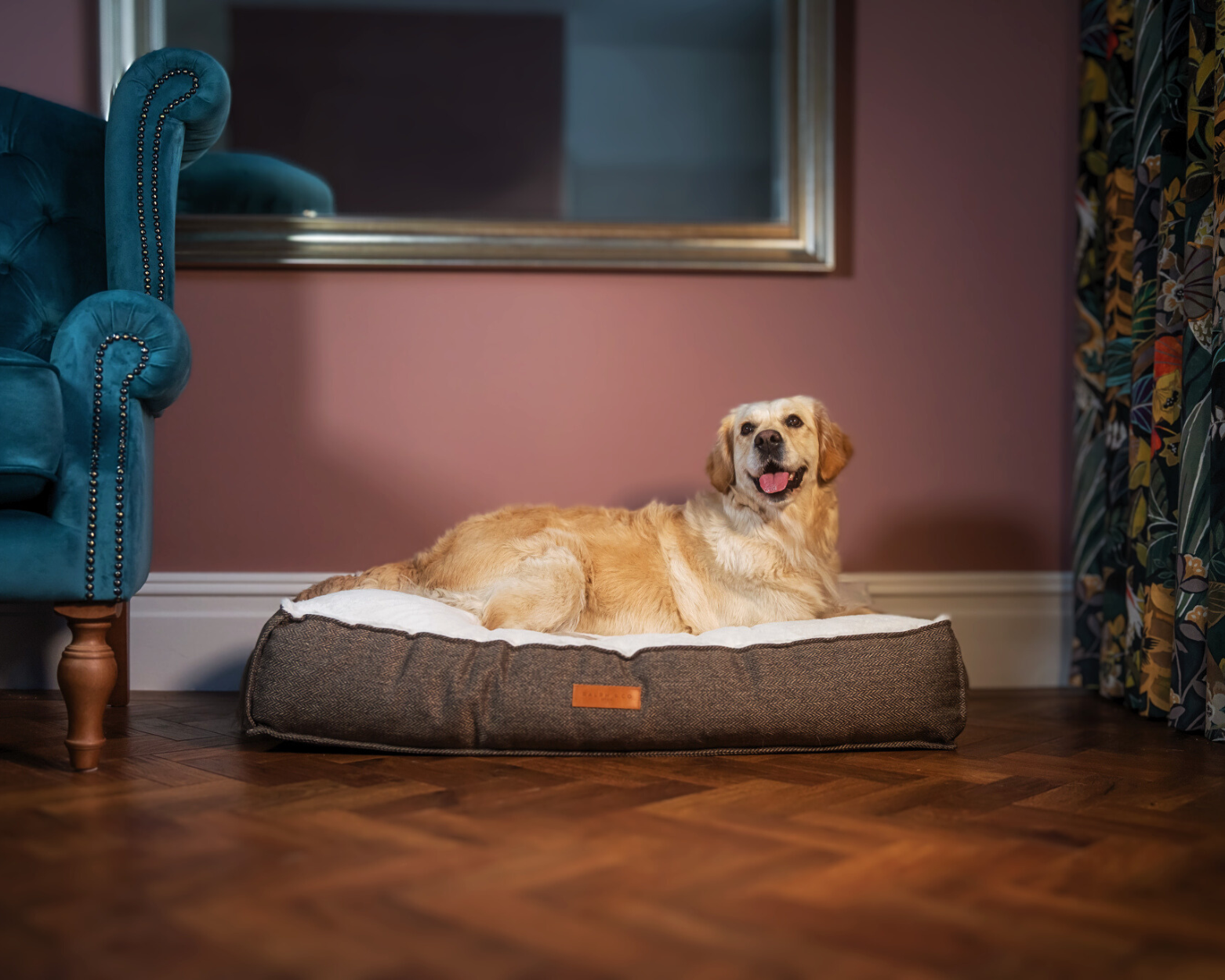 A golden retriever sits on a Lincoln pillow bed in a fancy living room