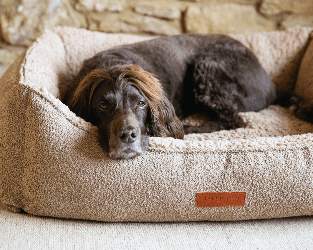 Luxury Boucle Nest Bed | Teddington - Ralph & Co