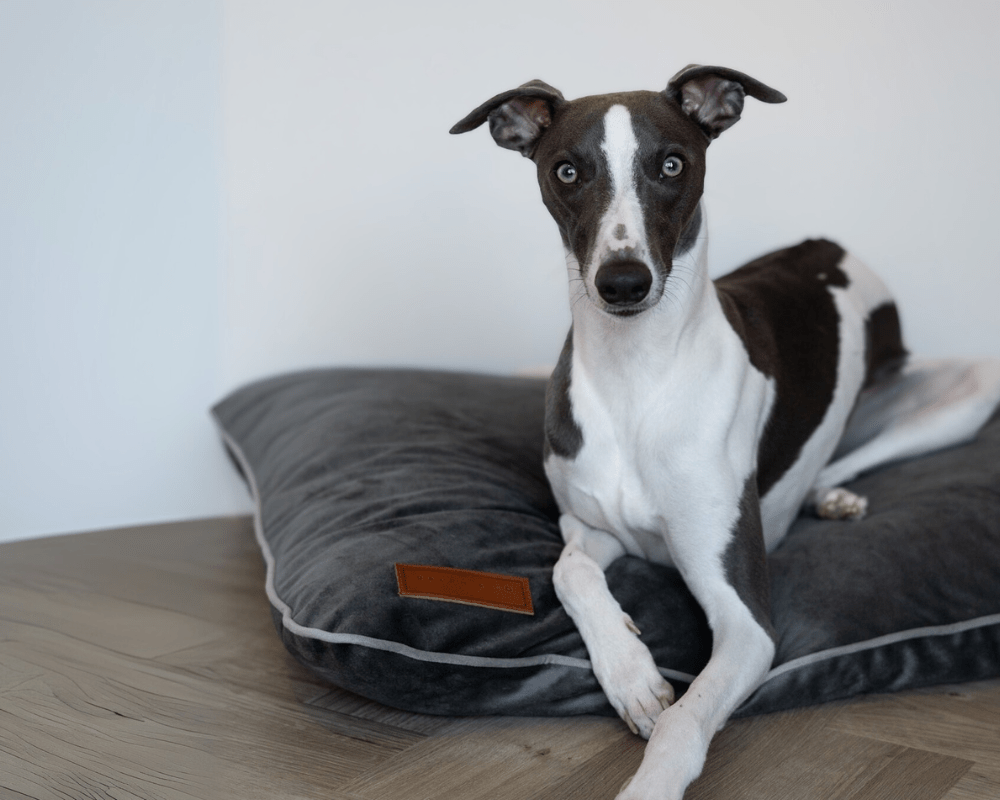 Luxury Dog Crate Bed | Grey - Ralph & Co
