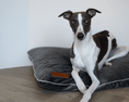 Load image into Gallery viewer, Luxury Memory Foam Crate Bed With Removable Covers | Grey - Ralph & Co