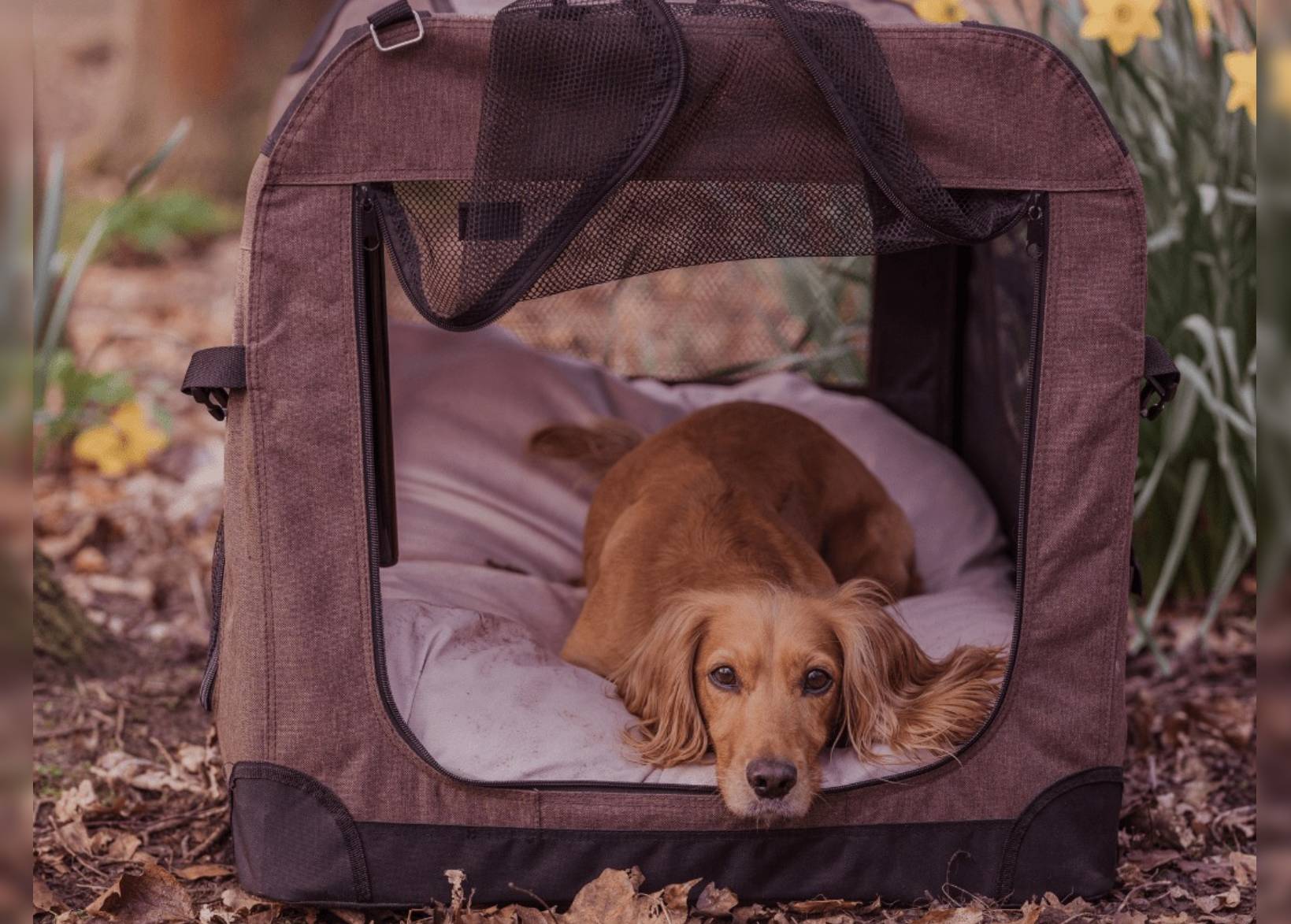 Luxury Dog Crate Bed | Pink - Ralph & Co