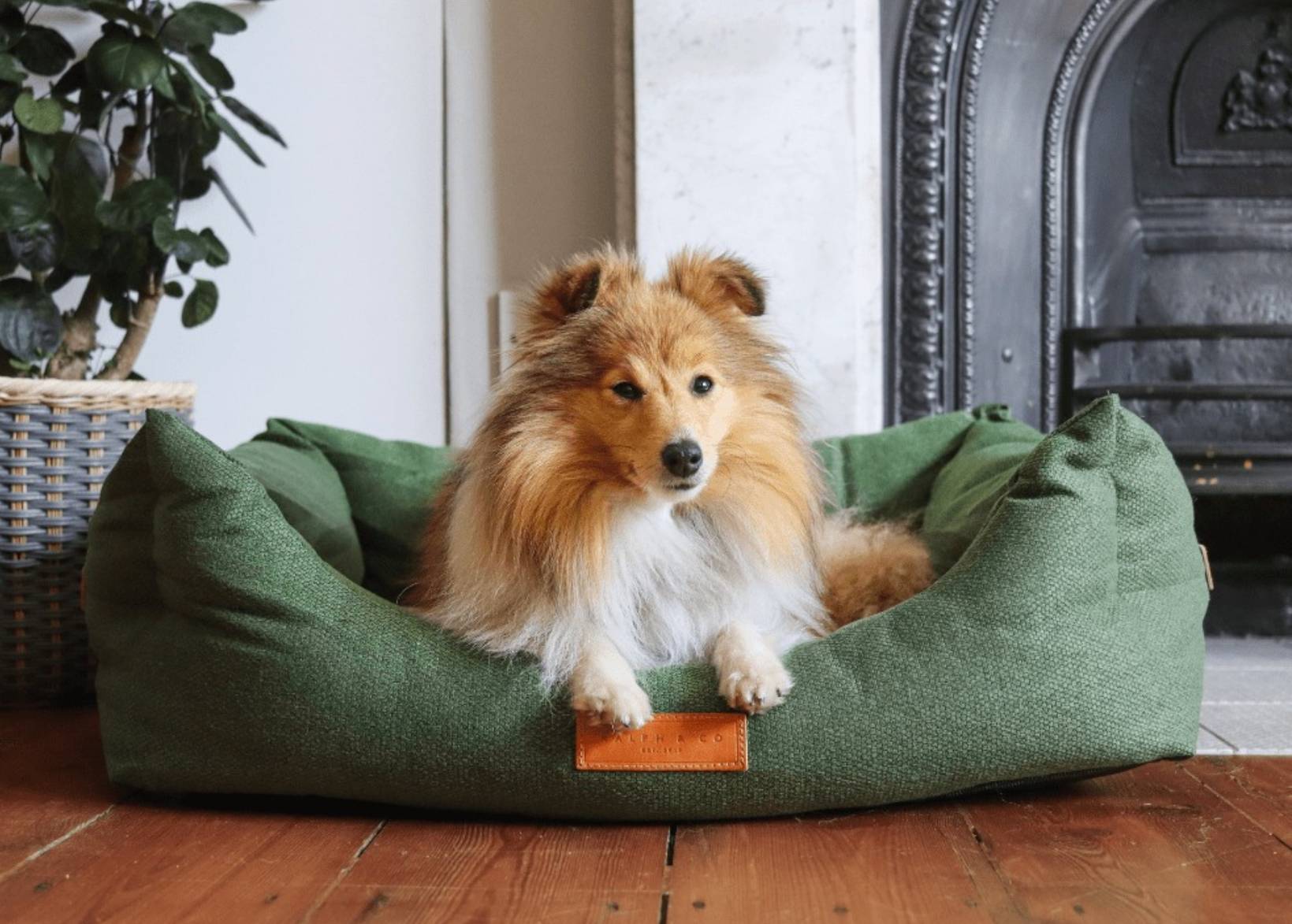 Luxury Green Dog Bed | Richmond - Ralph & Co