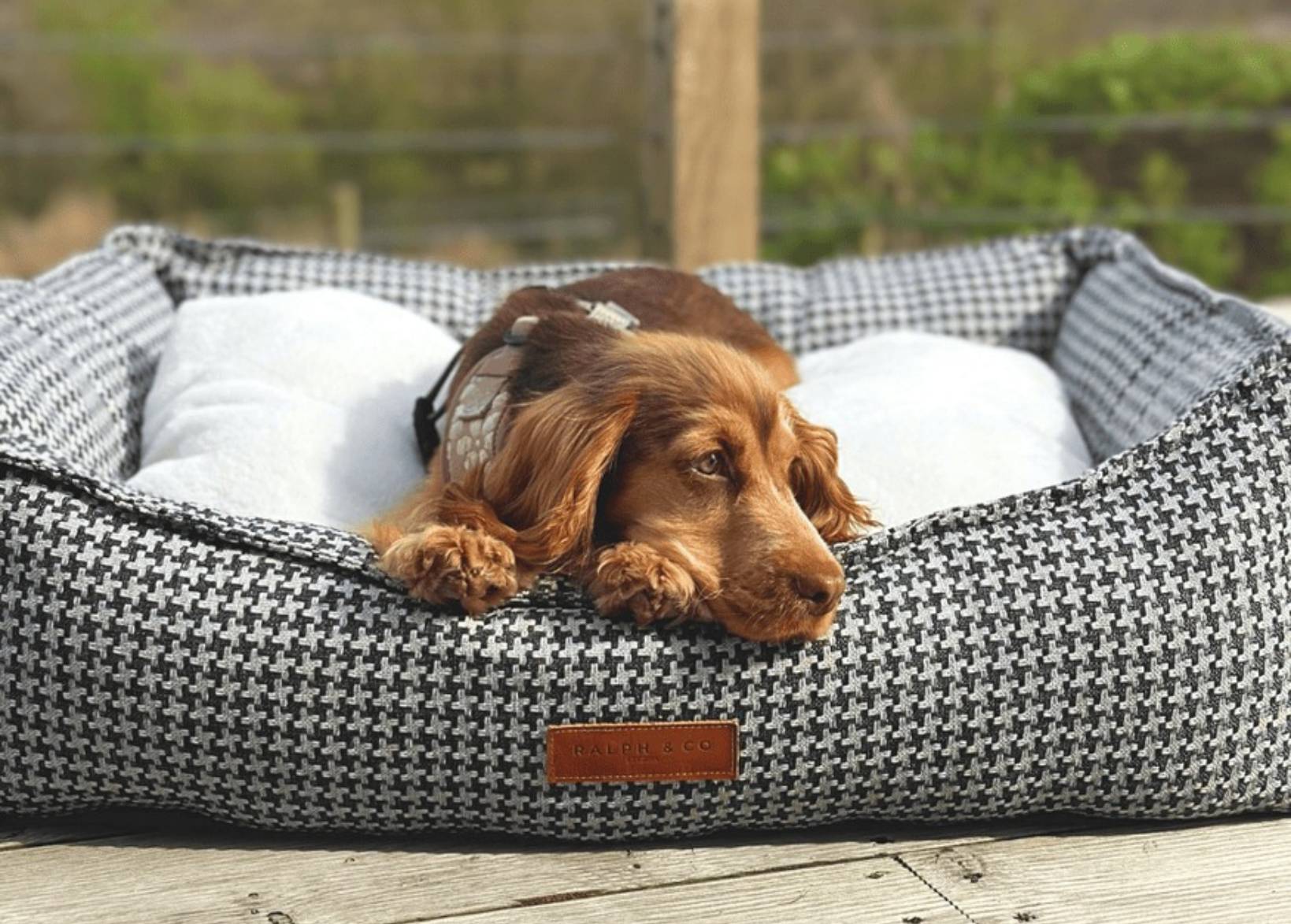Luxury Houndstooth Dog Bed | Kensington - Ralph & Co