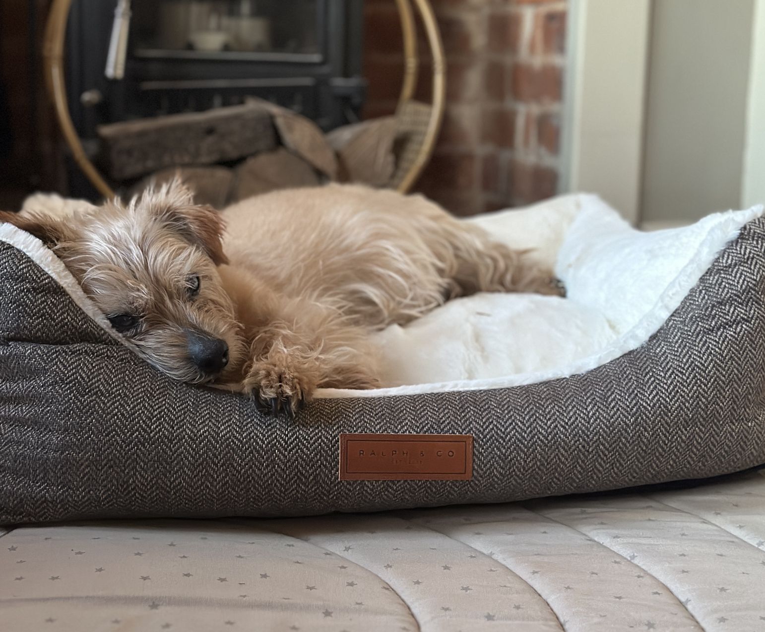 Luxury Tweed Dog Bed | Lincoln - Ralph & Co