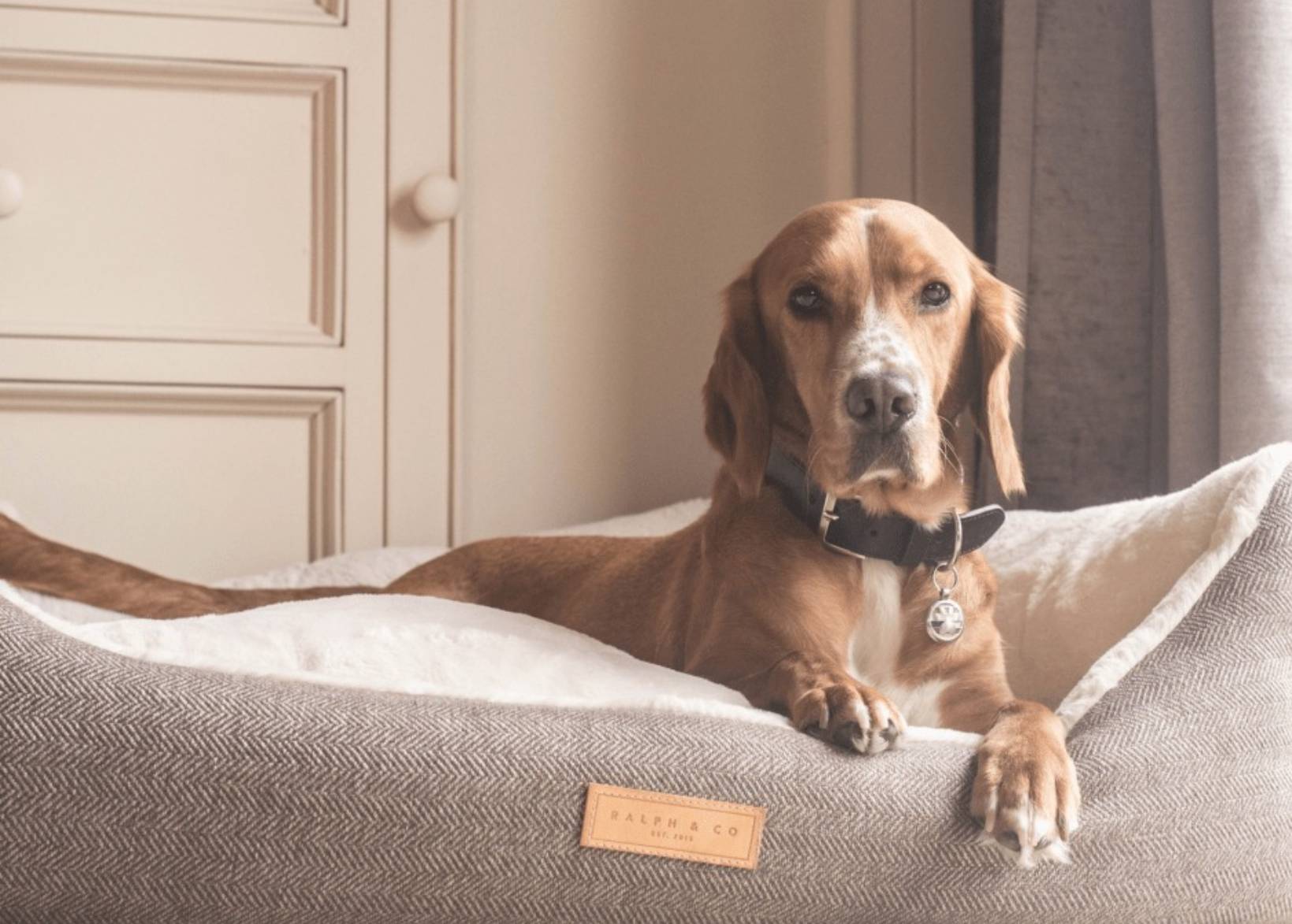 Luxury Tweed Dog Bed | Lincoln - Ralph & Co