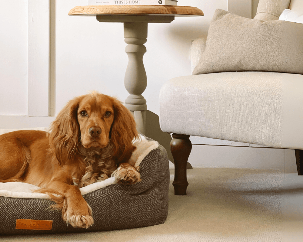 Luxury Tweed Dog Bed | Lincoln - Ralph & Co