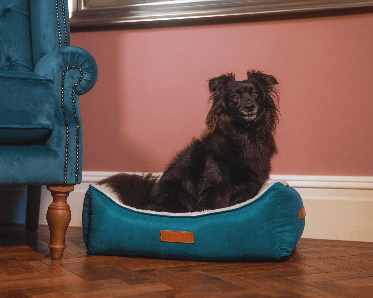 Luxury Velvet Dog Bed | Hampton - Ralph & Co