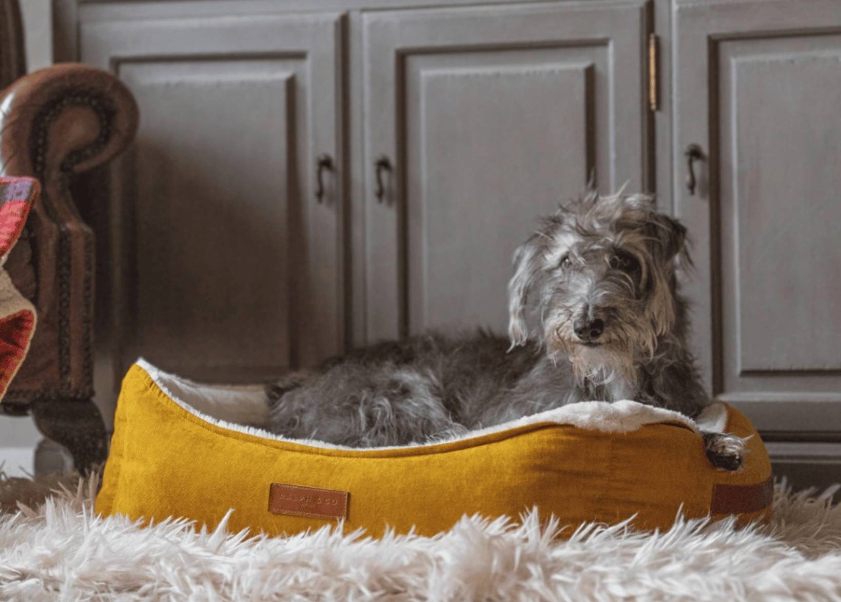 Luxury Velvet Dog Bed | Sandringham - Ralph & Co