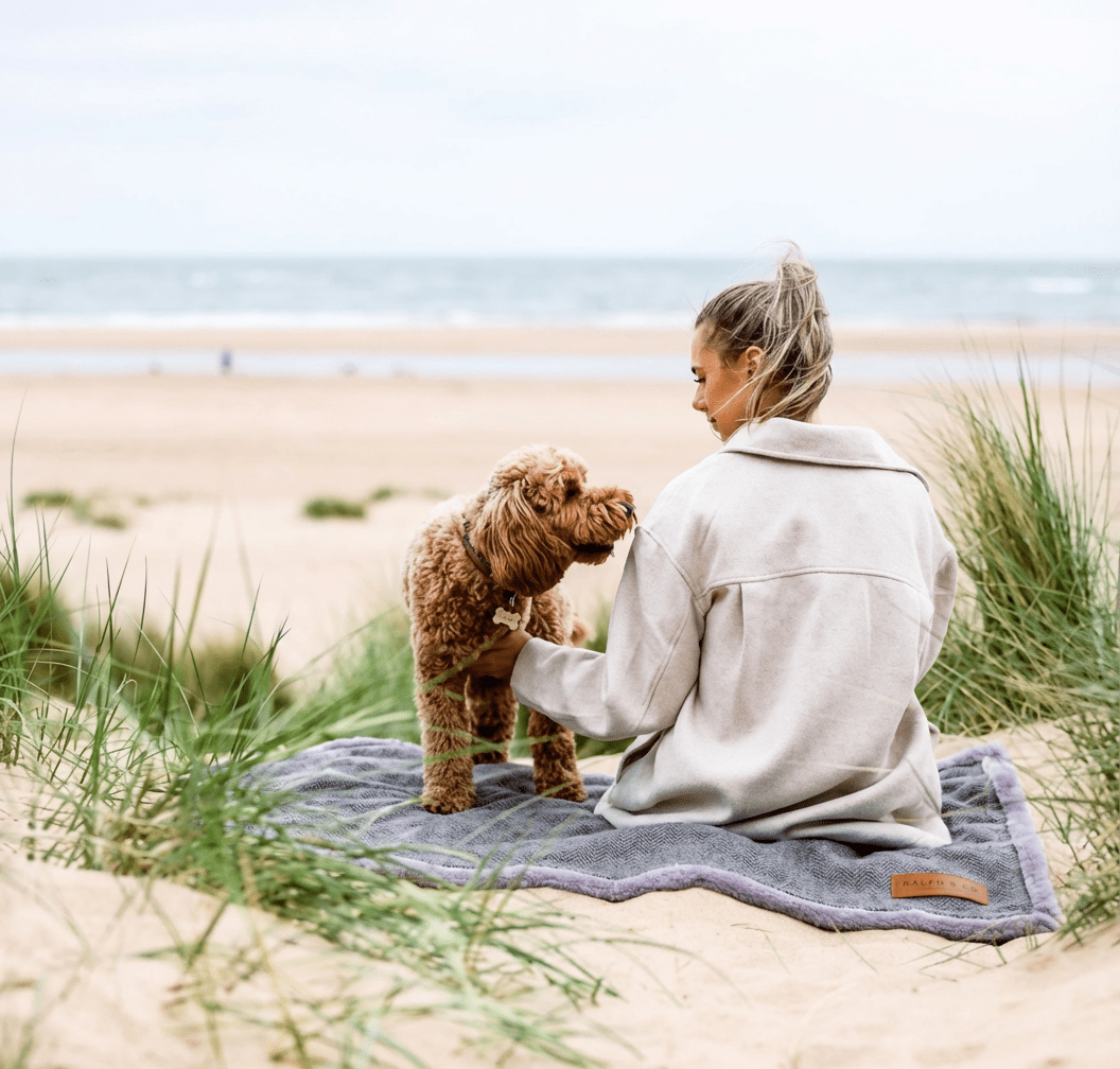 Luxury Washable Herringbone Dog Blanket | Balmoral - Ralph & Co