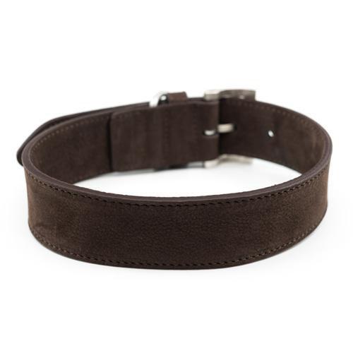 Nubuck Collar - Bergamo - Ralph & Co