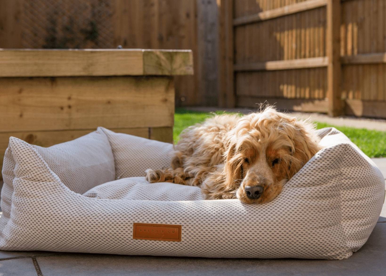 Orthopaedic Memory Foam Dog Bed | Beige - Ralph & Co