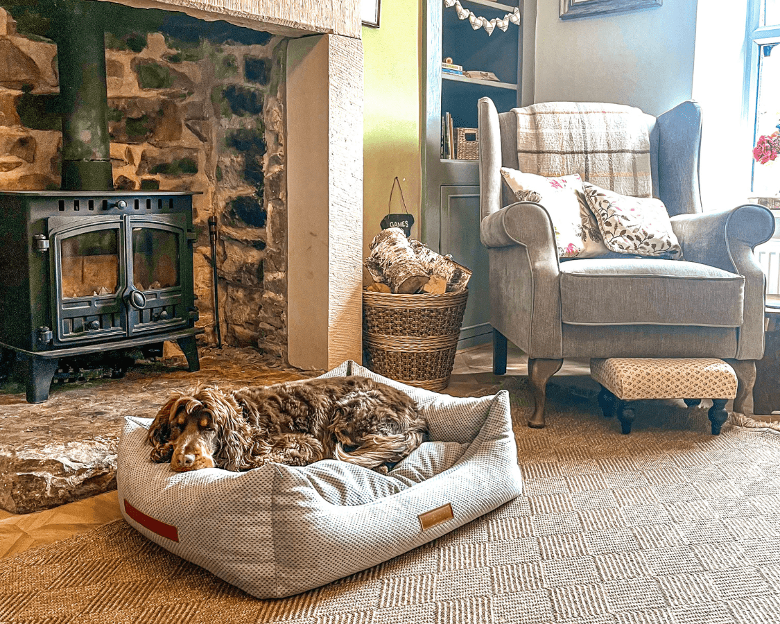 Orthopedic Memory Foam Dog Bed | Grey - Ralph & Co