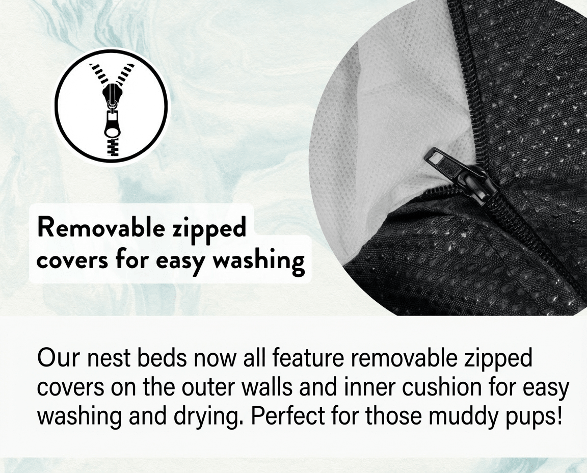 Orthopedic Memory Foam Dog Bed With Removable Covers | Beige - Ralph & Co