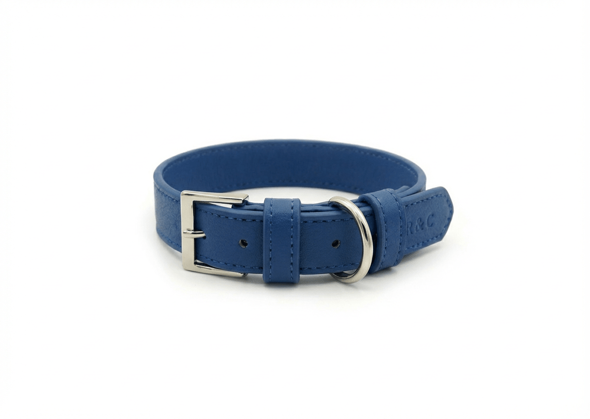 Royal Blue Leather Dog Collar - Ralph & Co