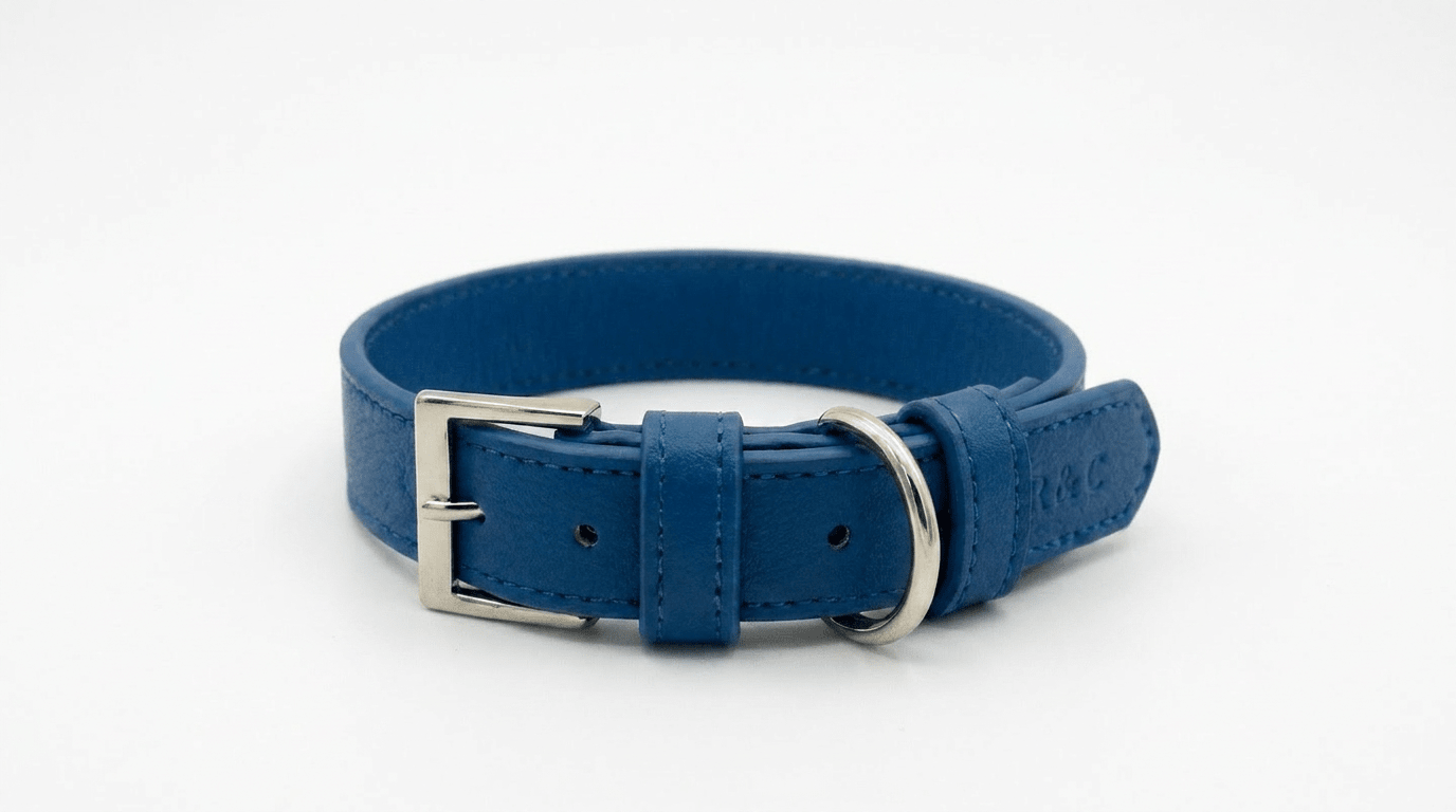 Royal Blue Leather Dog Collar - Ralph & Co