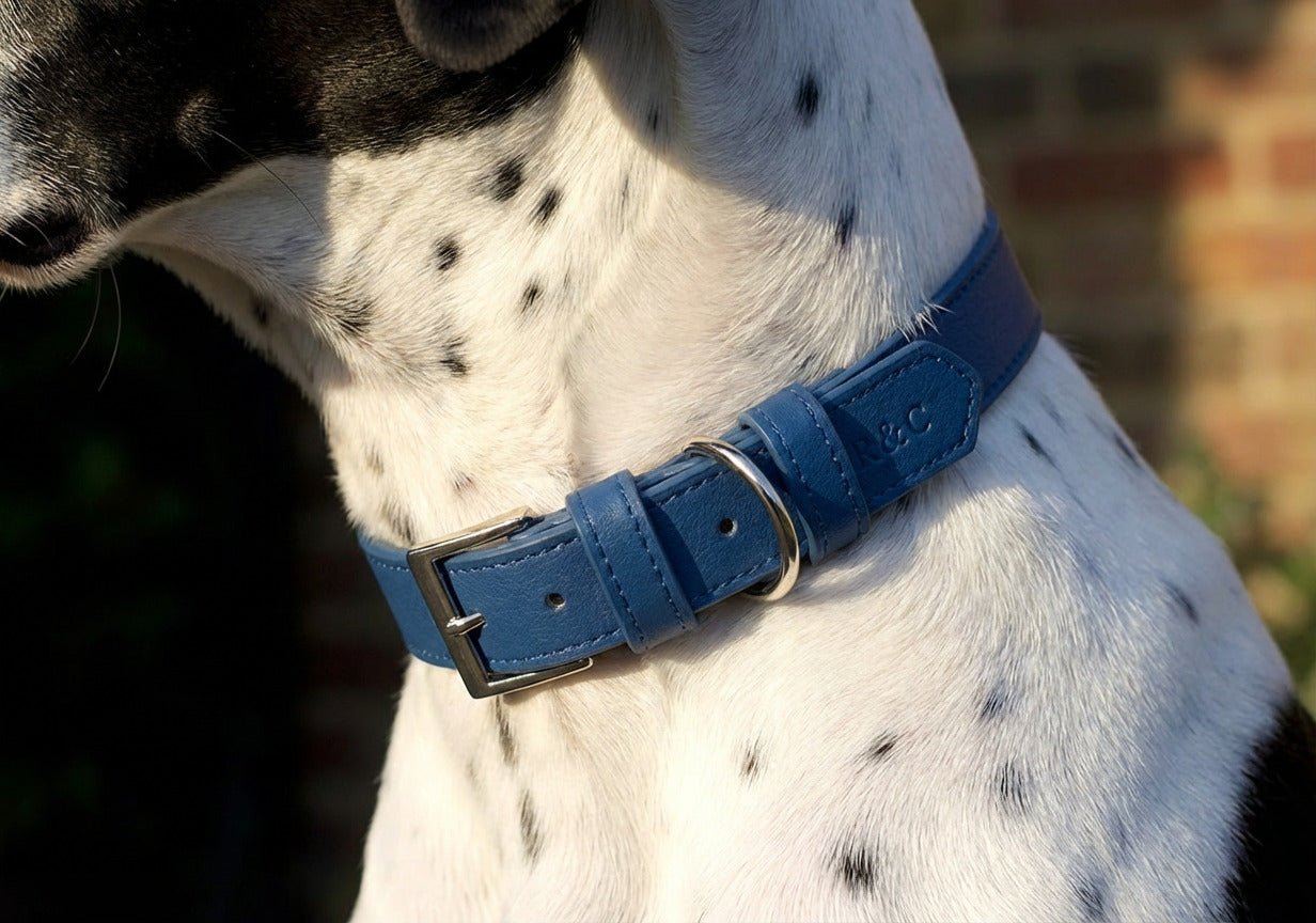 Royal Blue Leather Dog Collar - Ralph & Co