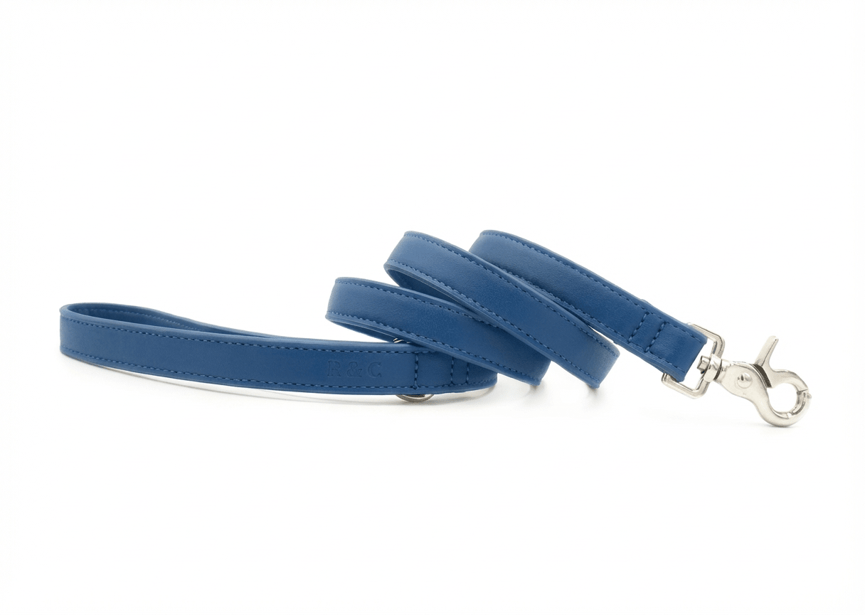 Royal Blue Leather Dog Lead - Ralph & Co