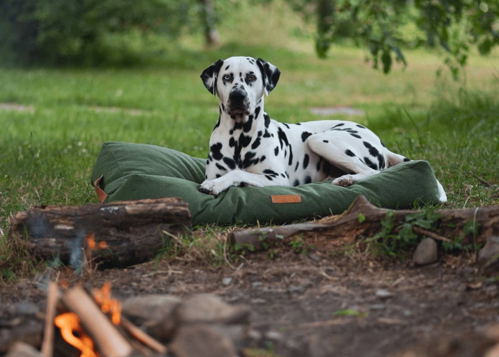 Stonewash Pillow Dog Bed | Richmond - Ralph & Co