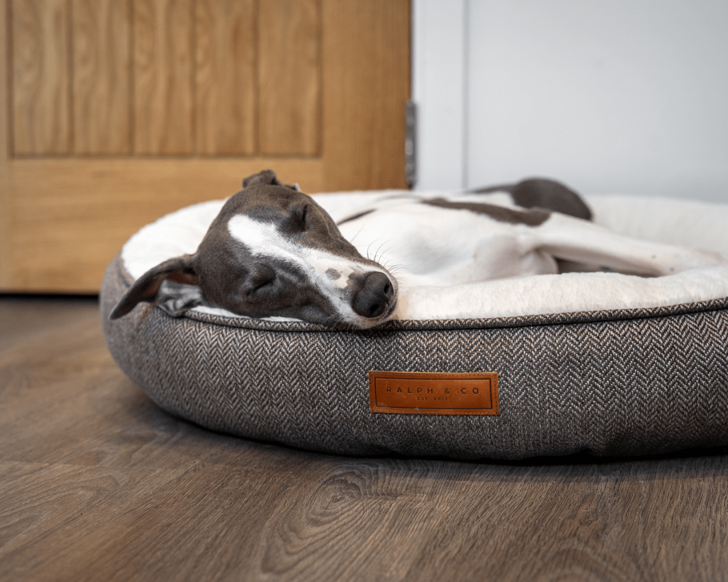 Tweed Calming Donut Dog Bed | Lincoln - Ralph & Co