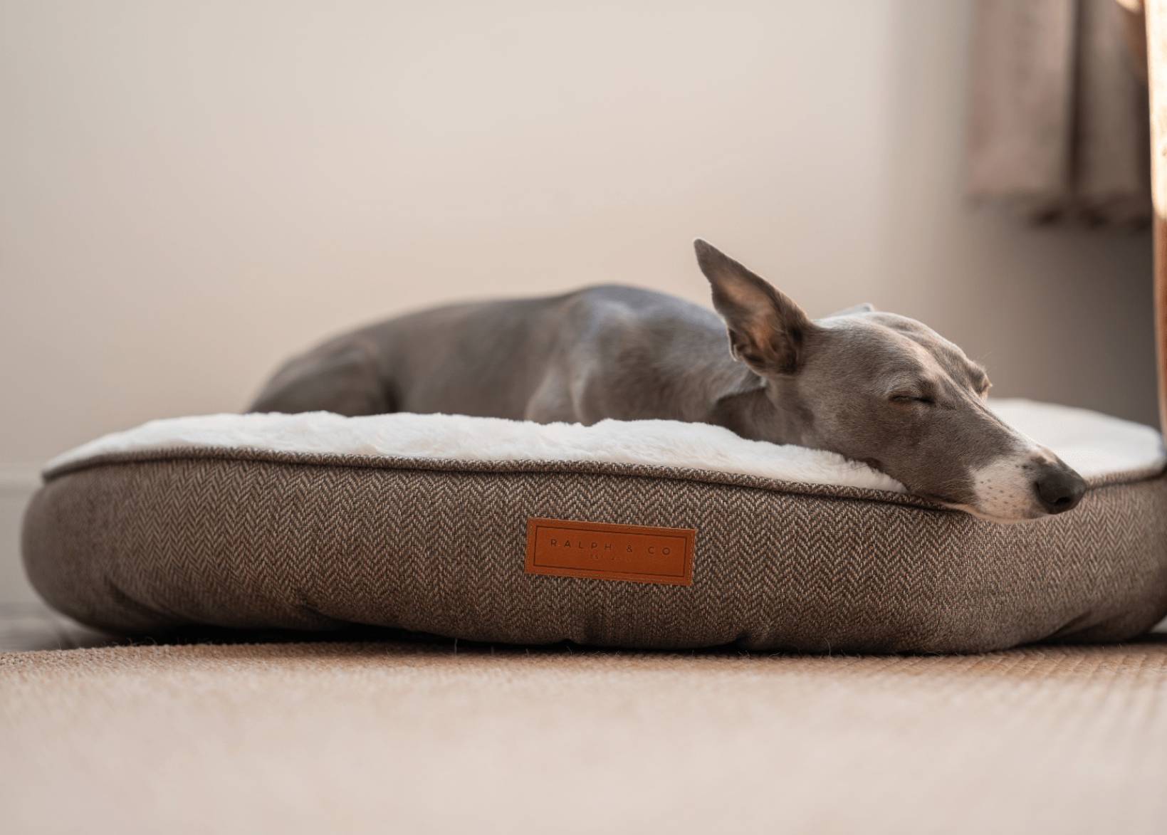 Tweed Calming Donut Dog Bed | Lincoln - Ralph & Co
