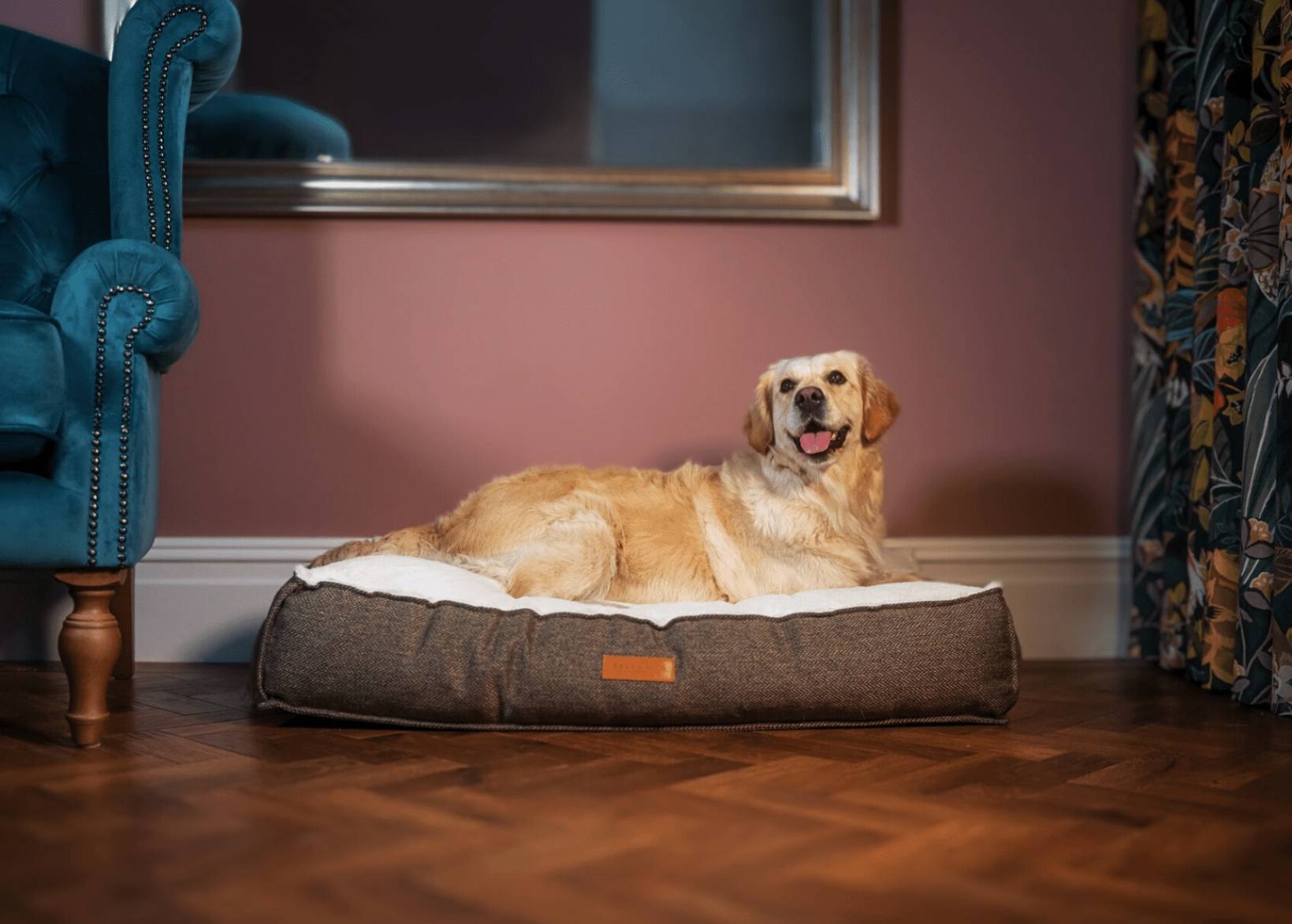 Tweed Pillow Dog Bed | Lincoln - Ralph & Co