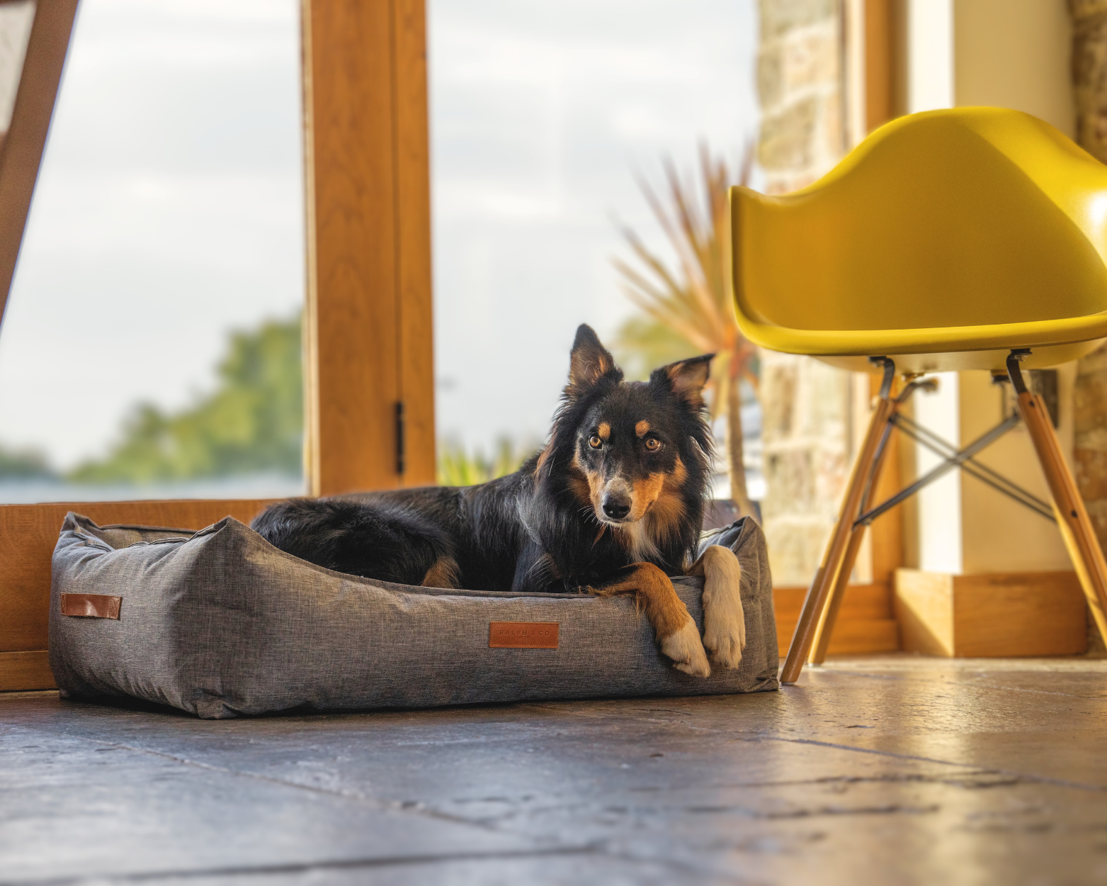 A collie sits in the grey waterproof nest bed by the window