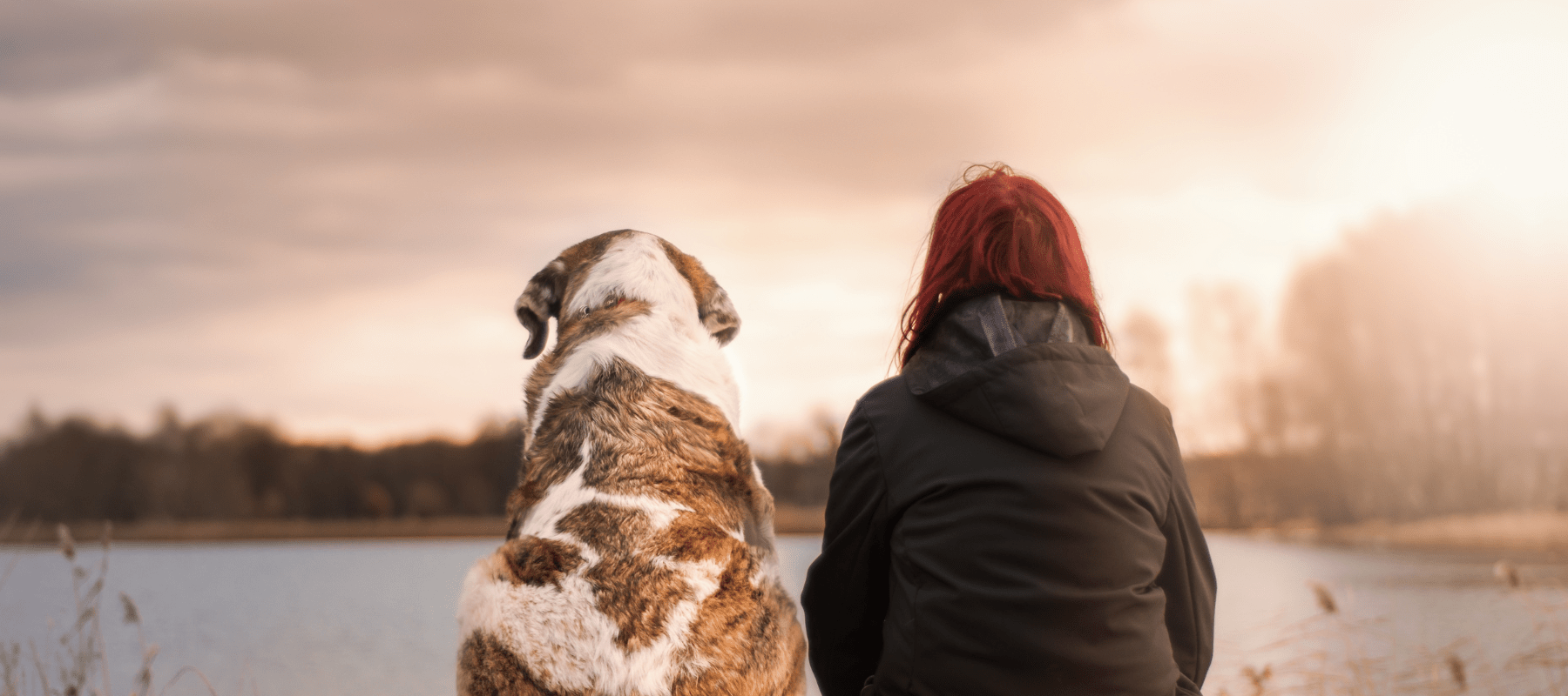 3 ways to celebrate your dog’s love on Valentine’s Day 2025 - Ralph & Co