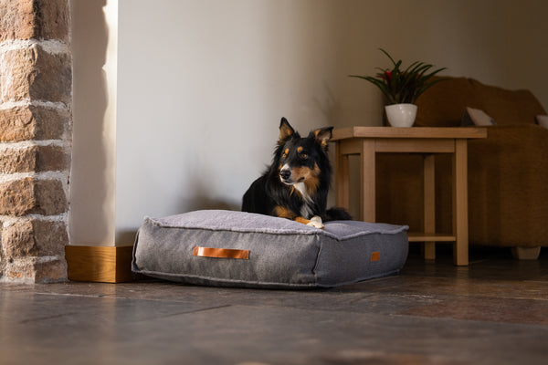 Arthritis Awareness: Choosing a Supportive Bed for Dogs with Joint Issues
