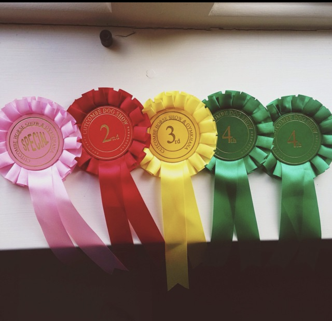 5 steps to winning your first dog show