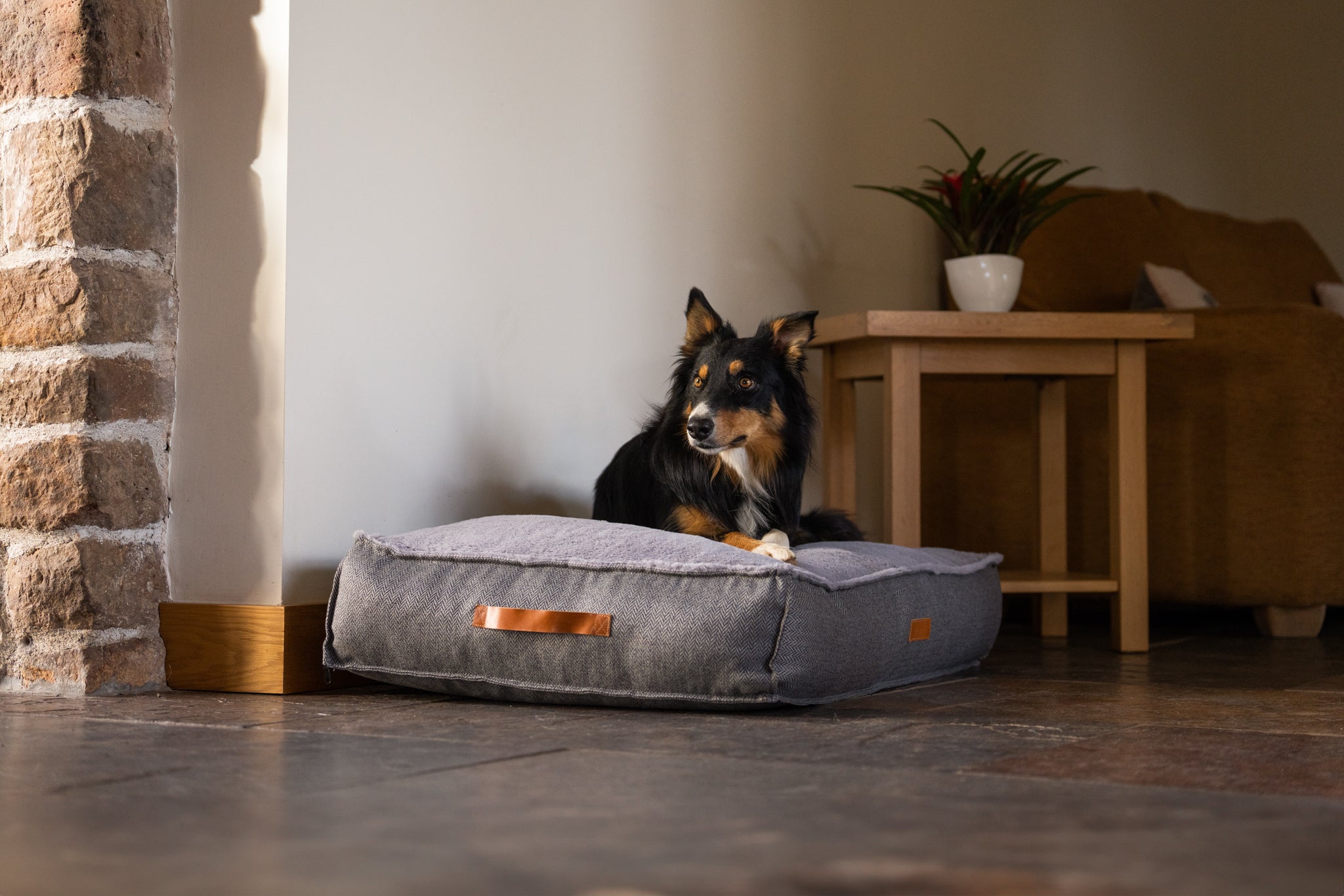 Arthritis Awareness: Choosing a Supportive Bed for Dogs with Joint Issues - Ralph & Co