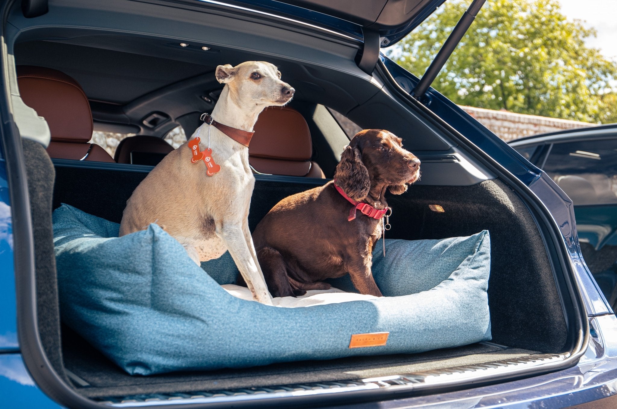 Choosing the right dog bed for travelling with your dog - Ralph & Co