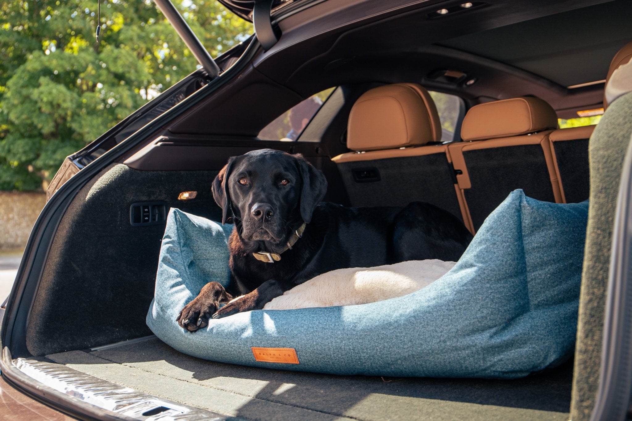 How to choose the right dog bed for car journeys - Ralph & Co