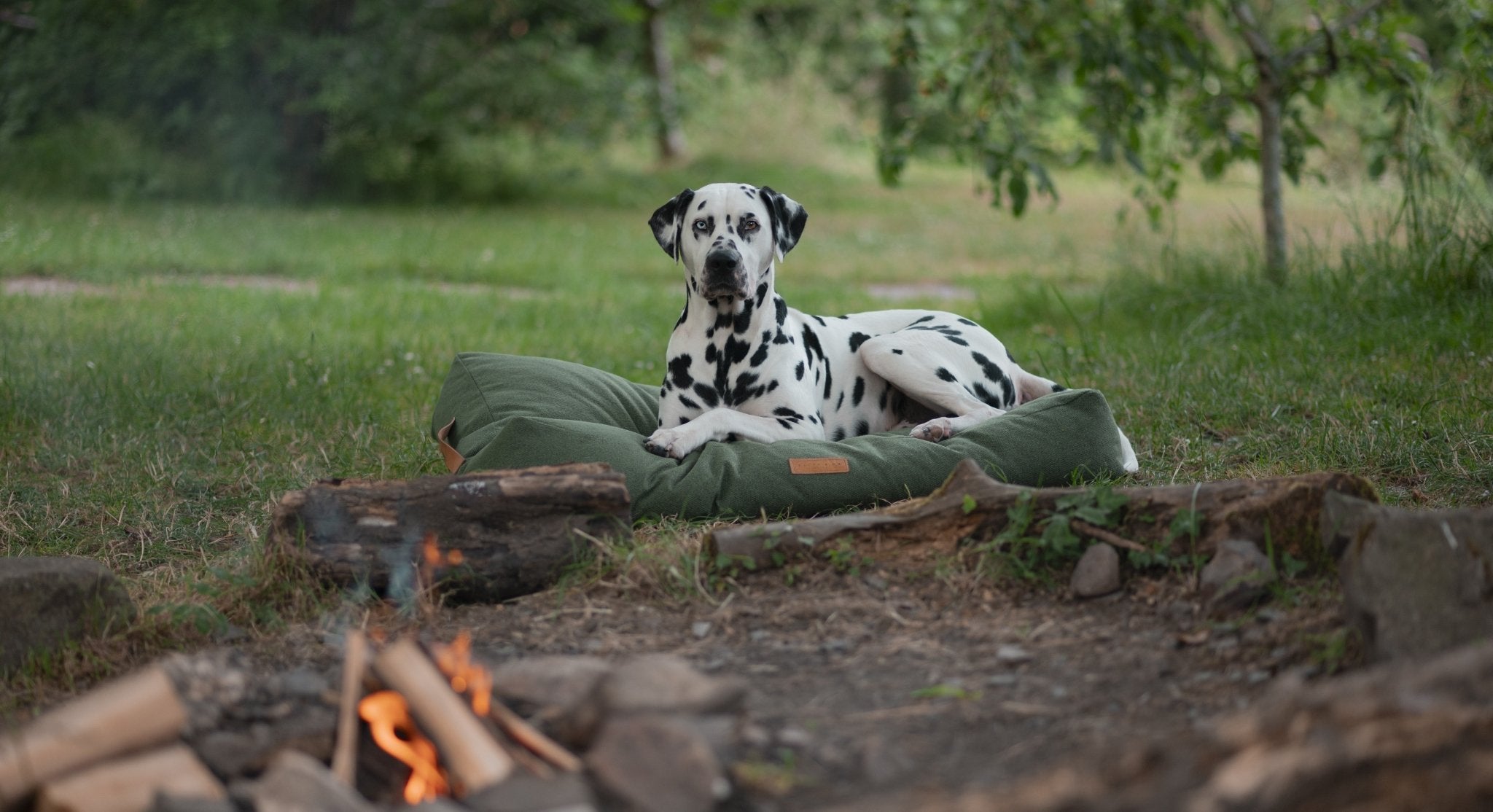 Luxurious stays for you and your dog - here's why you need a luxury dog bed in your dog friendly holiday let - Ralph & Co