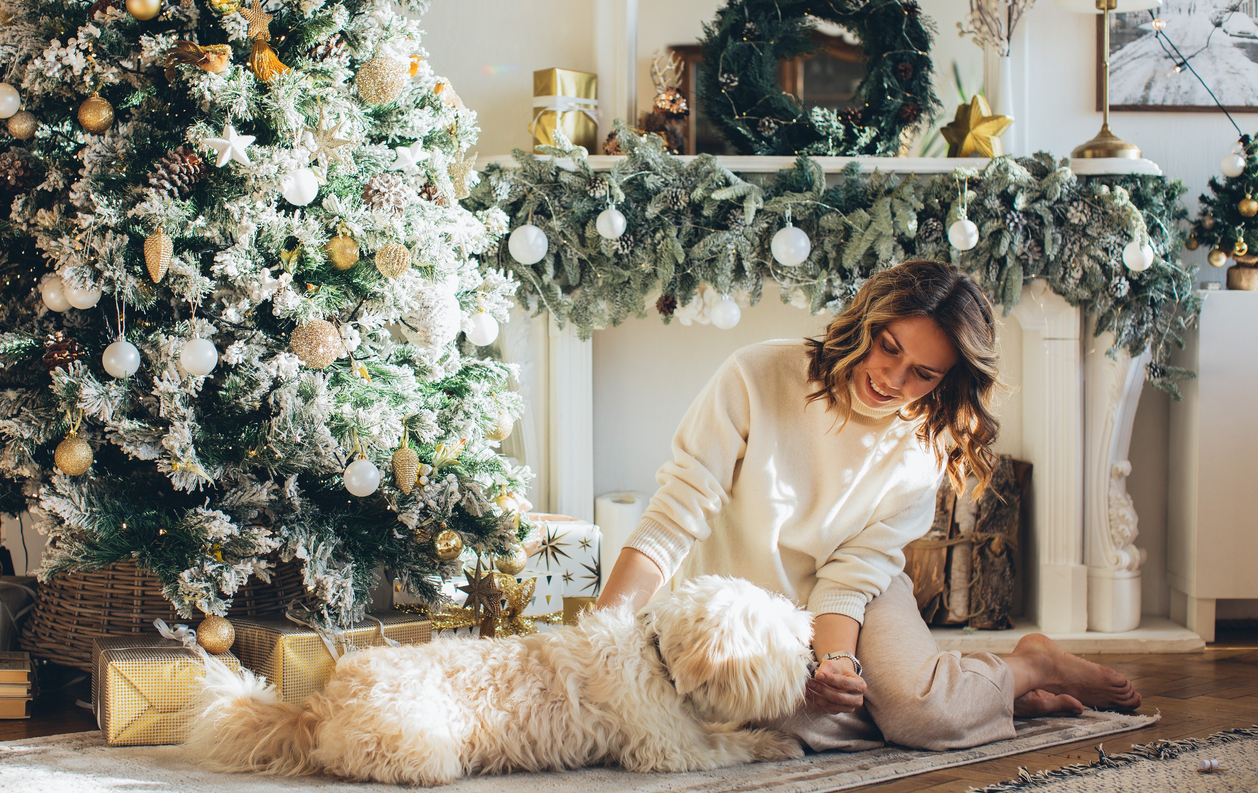 white dog sits under a Christmas tree opening a present with a young woman on Christmas morning