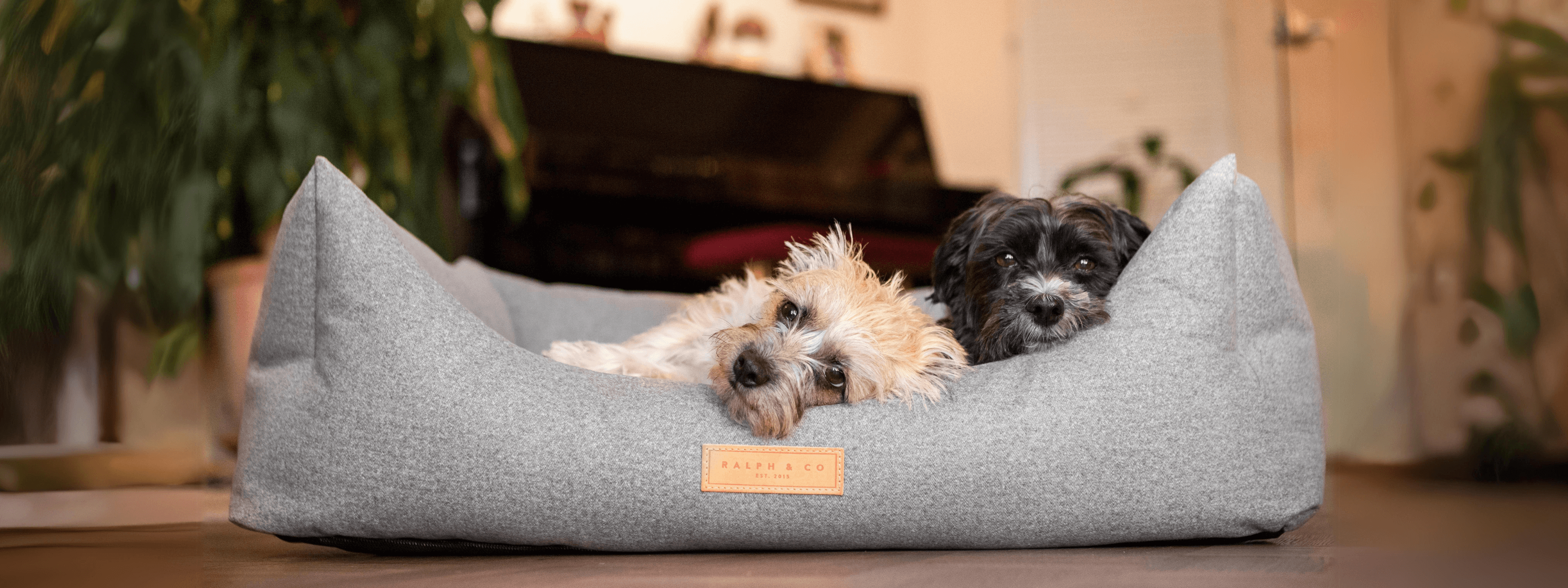 Dog beds clearance sale clearance