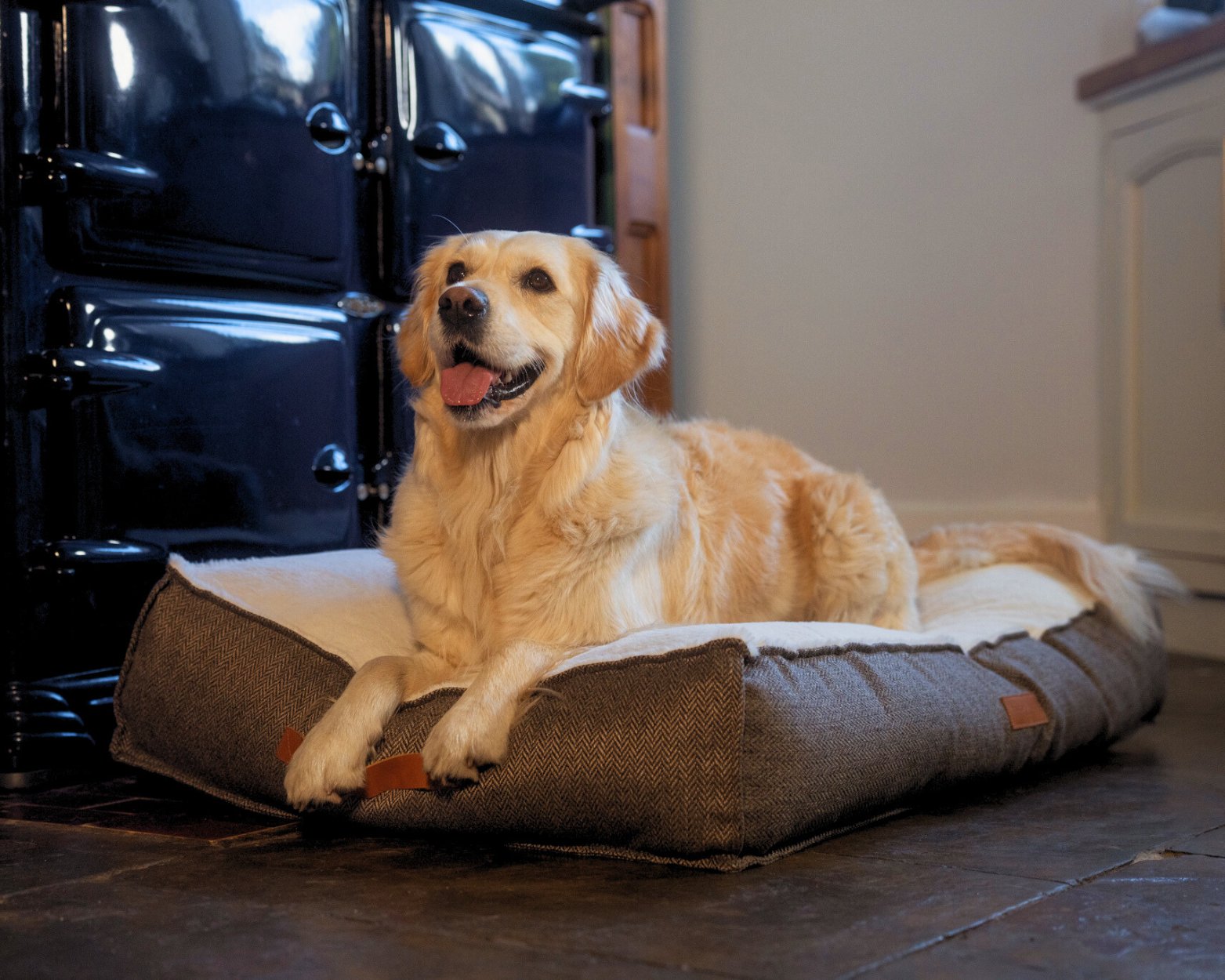 A golden retriever sits on a Lincoln pillow bed in front of the aga