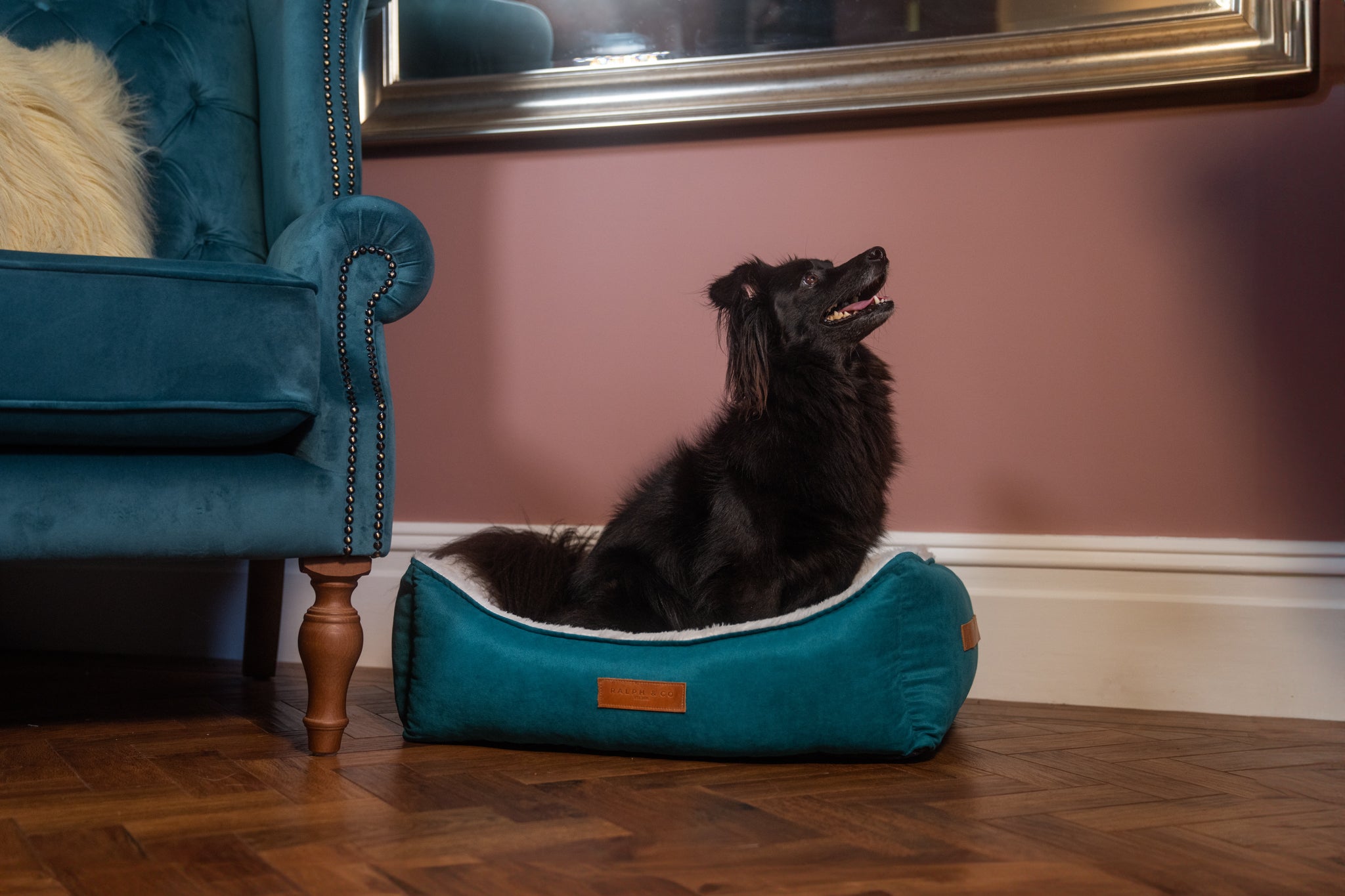 Machine washable dog beds best sale