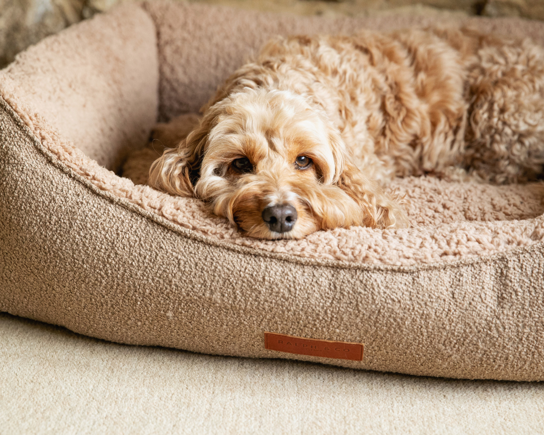 Luxury Boucle Nest Bed | Teddington